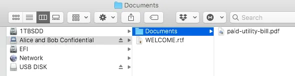  Subfolder Documents contains a confidential utility bill. 
